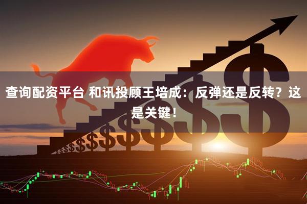 查询配资平台 和讯投顾王培成：反弹还是反转？这是关键！